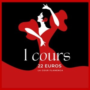 Ticket Découverte - 1 cours - La Cour Flamenca