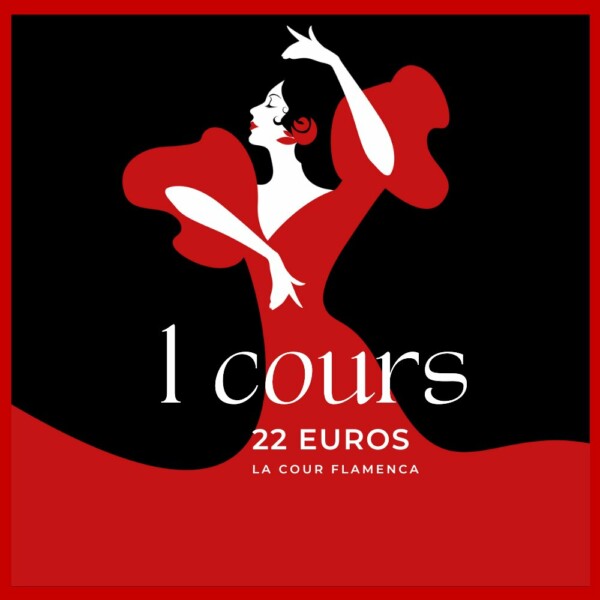 Ticket Découverte - 1 cours - La Cour Flamenca