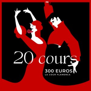 Pass Maîtrise - 20 cours - La Cour Flamenca