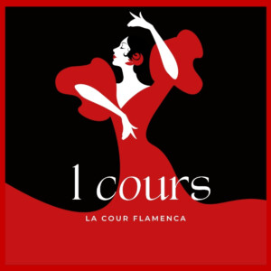 Ticket Découverte - 1 cours - La Cour Flamenca