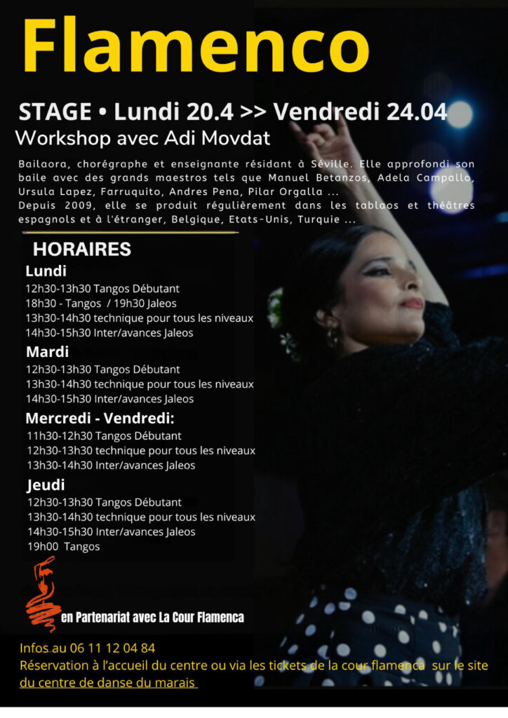 stage-flamenco-adi-movdat-avril-cddm Stage Flamenco Adi Movdat Avril 2025 CDDM